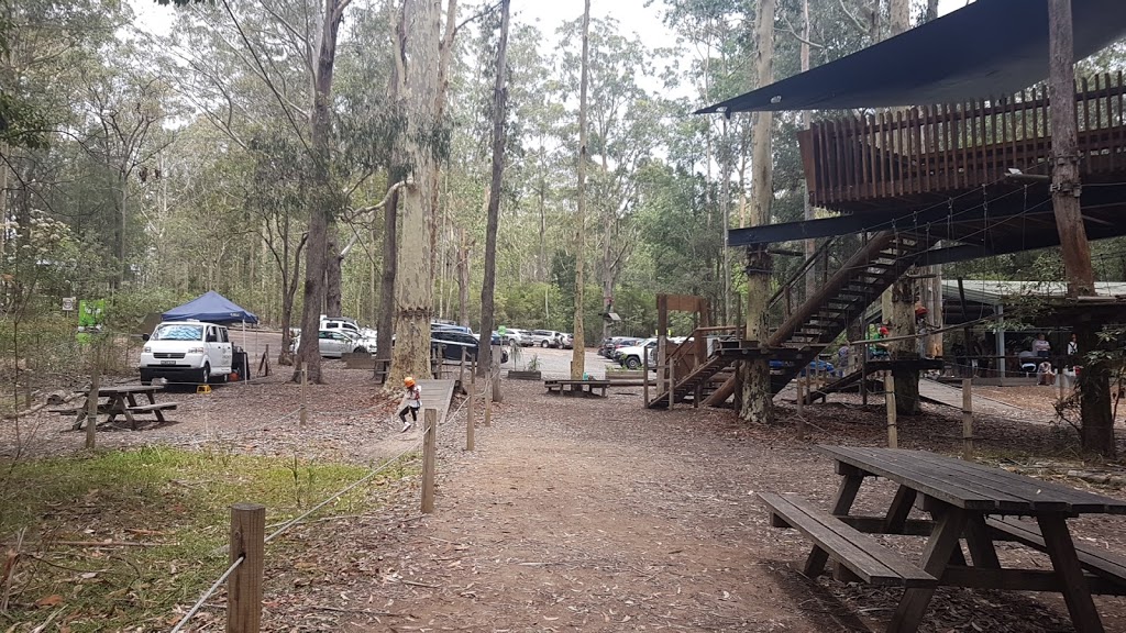 TreeTops Central Coast | Ourimbah State Forest, 1 Red Hill Rd,, Wyong Creek NSW 2259, Australia | Phone: 0455 334 945