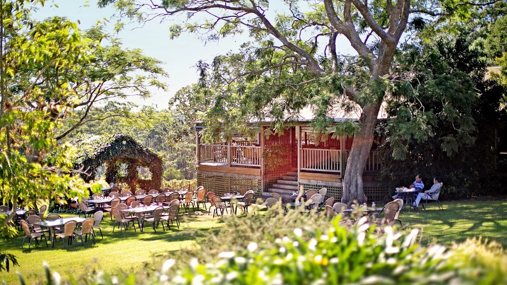Little Fish Cafe Restaurant Vineyard | restaurant | 147 The Ruins Way Innes Lake Vineyard, Port Macquarie NSW 2444, Australia | 0265811332 OR +61 2 6581 1332