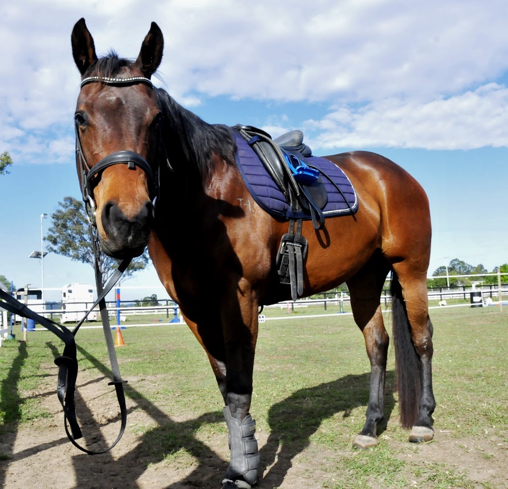 RIDEZ Equestrian |  | 554 Beenleigh Redland Bay Rd, Carbrook QLD 4130, Australia | 0449601899 OR +61 449 601 899