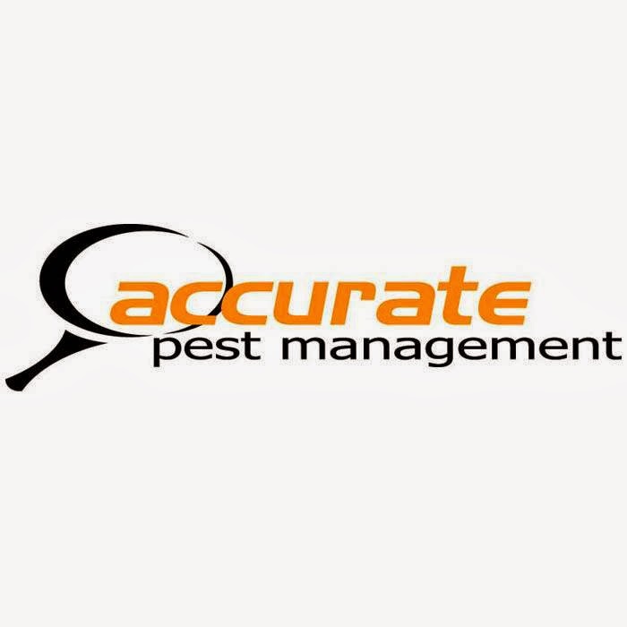 Accurate Pest Management | home goods store | 1968 Gold Coast Hwy, Miami QLD 4220, Australia | 0402553887 OR +61 402 553 887