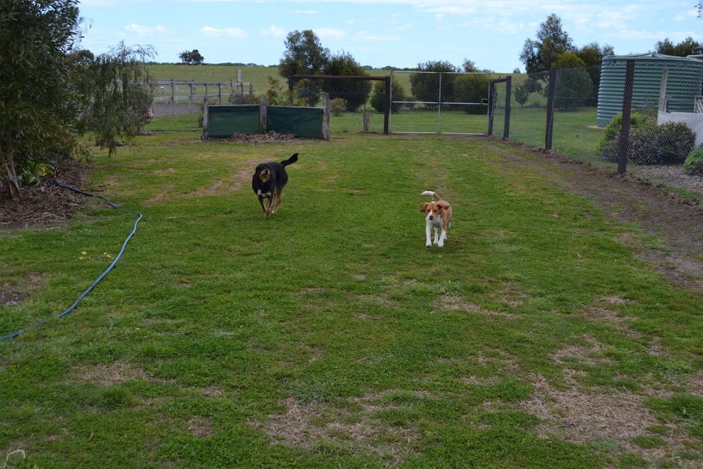 Sandy Grove Dog Boarding Kennels |  | 556 Southern Ports Hwy, Sandy Grove SA 5275, Australia | 0457738809 OR +61 457 738 809