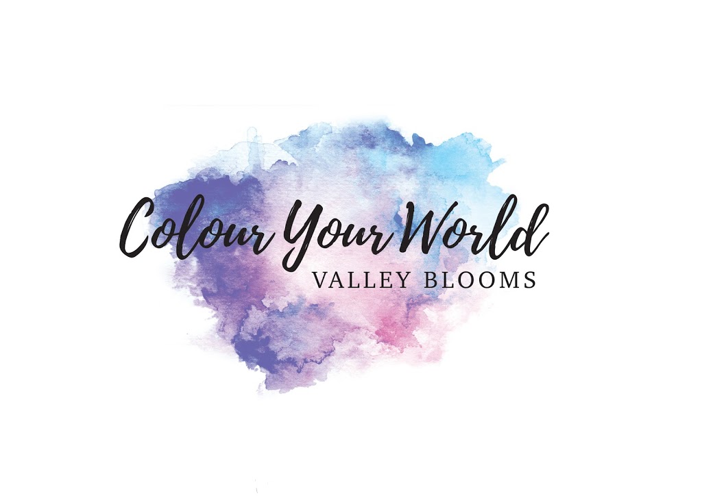 Colour Your World - Valley Blooms |  | 480 Lusatia Park Rd, Hoddles Creek VIC 3139, Australia | 0421576842 OR +61 421 576 842