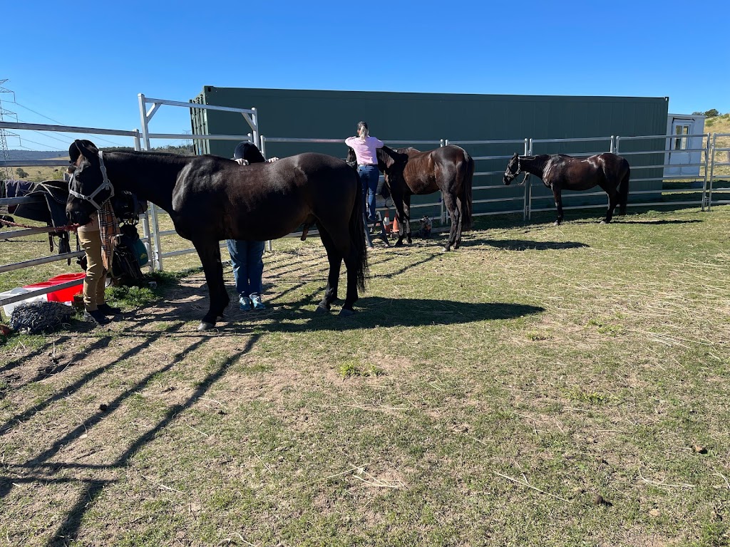 Giddy Up Farm | 2 Nelson Ln, Laidley Creek West QLD 4341, Australia | Phone: 0419 679 465