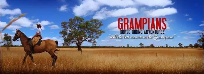 Grampians Horse Riding Centre | 430 Schmidt Road, Brimpaen VIC 3401, Australia | Phone: (03) 5383 9255