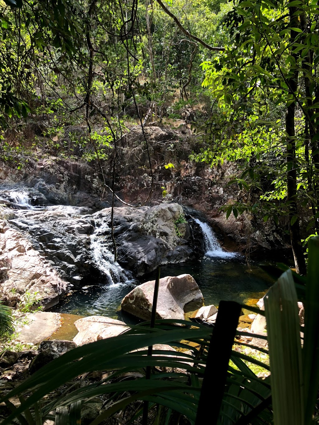 Finch Hatton Gorge | park | Gorge Rd, Finch Hatton QLD 4756, Australia