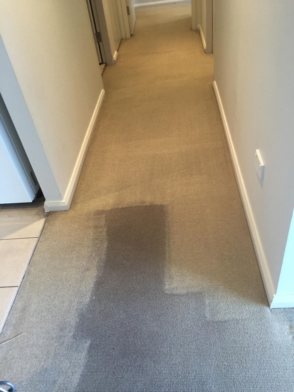 Sutherland Shire Chem-Dry Carpet Cleaning | 410 Willarong Rd, Caringbah South NSW 2229, Australia | Phone: 0414 426 993