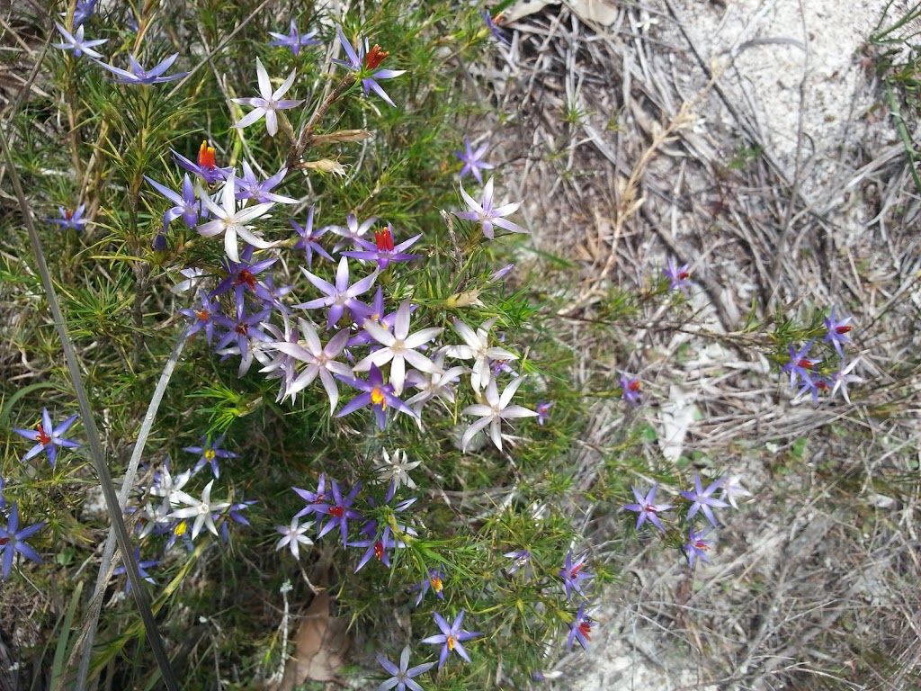 Wardandi Flora Reserve | park | Australind WA 6233, Australia