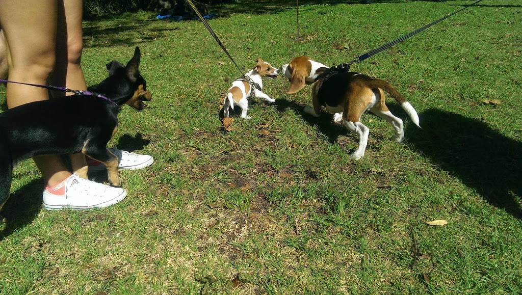 Eastern Suburbs Dog Training | park | Musgrave Ave, Centennial Park NSW 2022, Australia