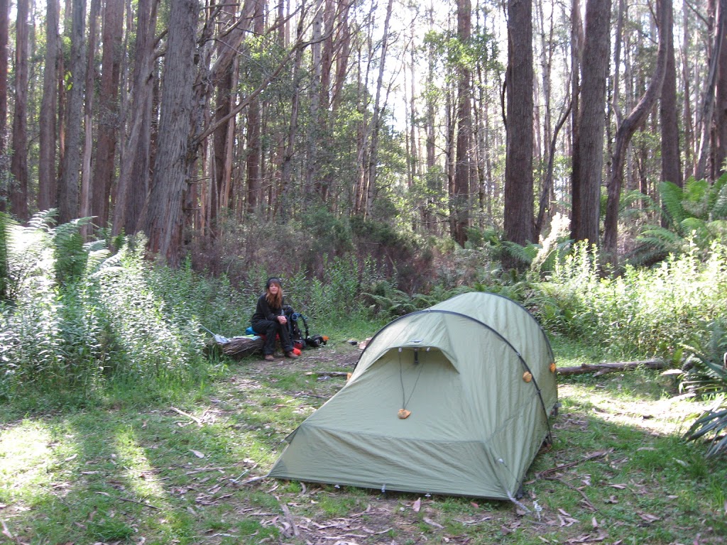 Stronachs Camping Area | campground | Jericho VIC 3833, Australia