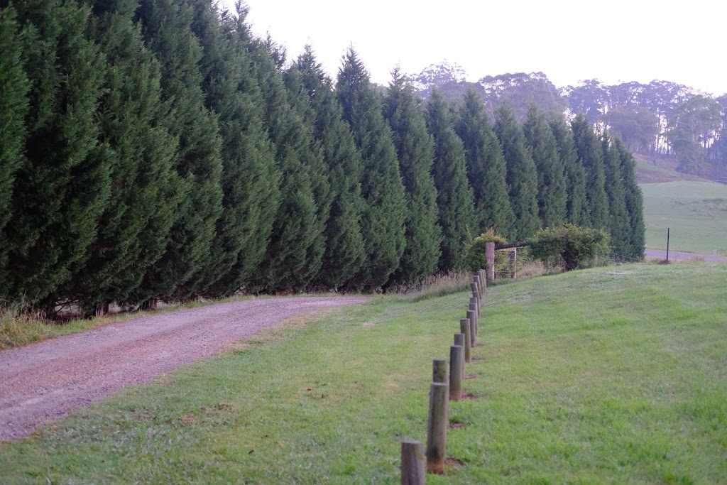 The Pines Pastoral | lodging | Meryla Rd, Moss Vale NSW 2577, Australia | 0418200138 OR +61 418 200 138