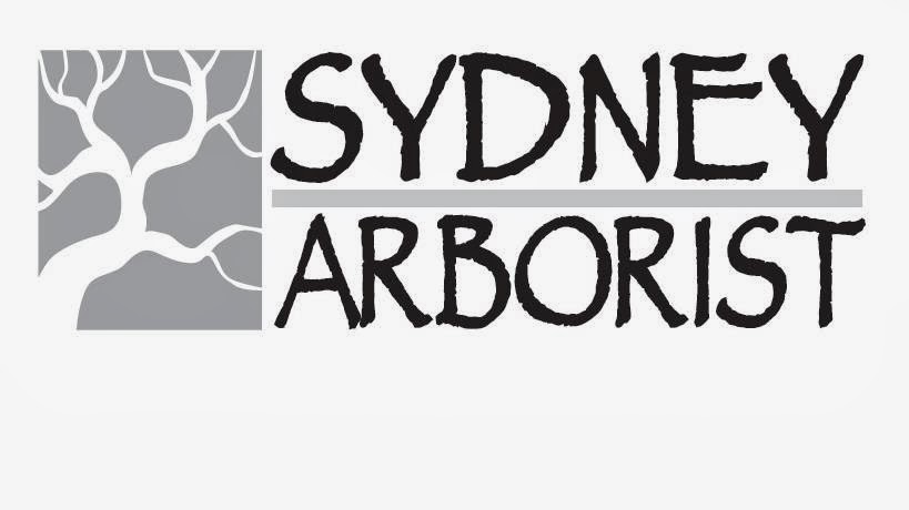 Sydney Arborist | Clontarf St, Seaforth NSW 2096, Australia | Phone: 0423 568 159