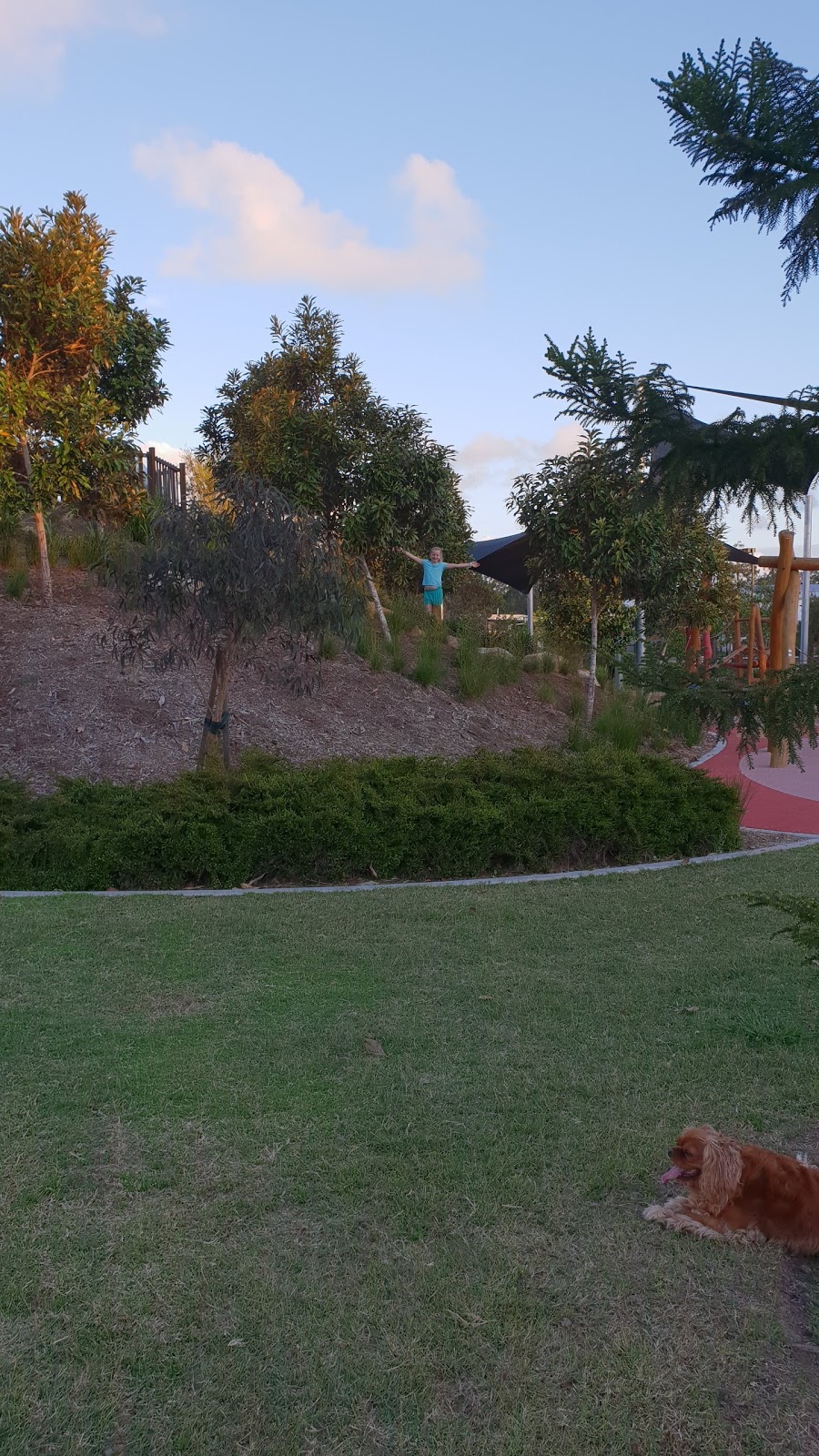 Forest Green Playground | Melville Drive, Pimpama QLD 4209, Australia