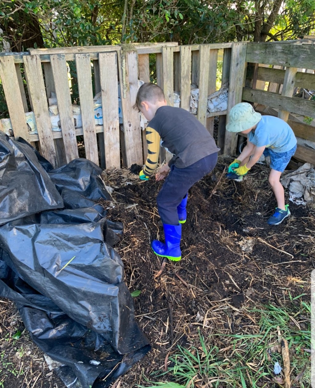 Mustard Seed Small Farm & Photography | 44 Hillside Dr, Glenning Valley NSW 2261, Australia | Phone: 0457 427 350