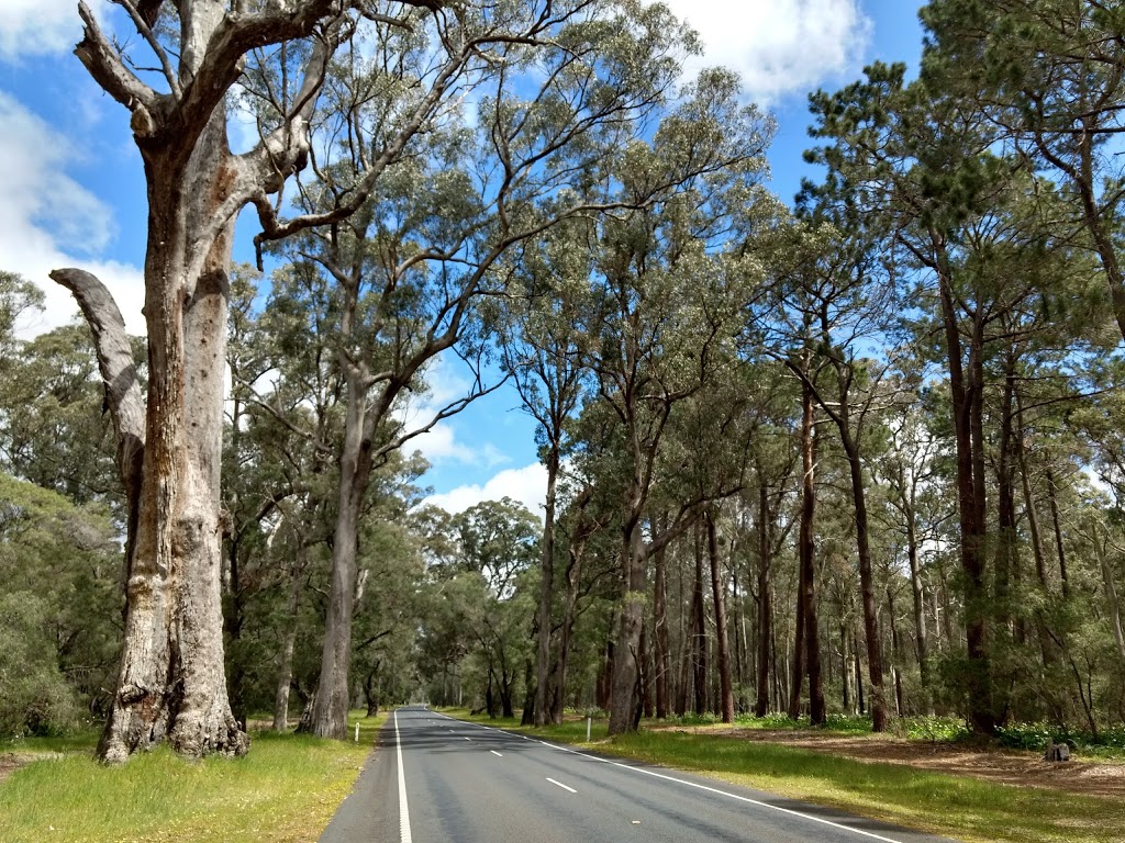 Tuart Forest National Park | park | Higgings Road, Capel WA 6271, Australia | 0897525555 OR +61 8 9752 5555