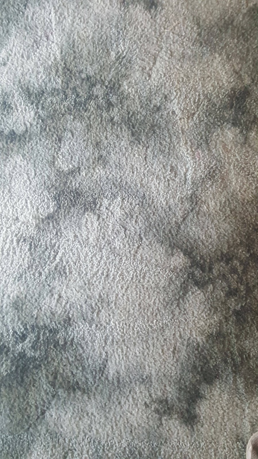 Valley Fresh Carpet Cleaning | 63 Brightview Rd, Lockrose QLD 4342, Australia | Phone: 0438 526 176