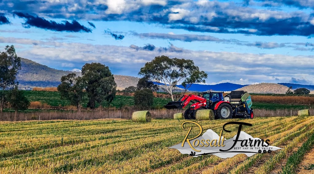 Rossalt Farms | 378 Pilton Valley Rd, Pilton QLD 4361, Australia | Phone: 0422 052 220