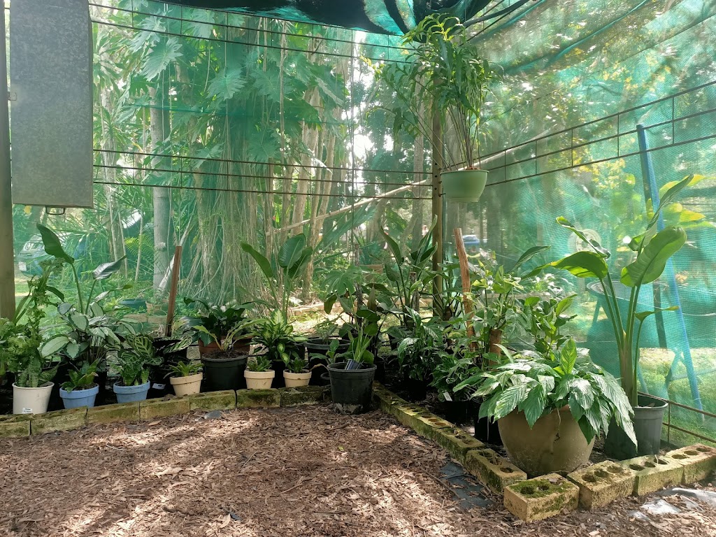 Adore Indoor Plant Hire | 135 Drouin Cres, Burrum River QLD 4659, Australia | Phone: 0448 152 131