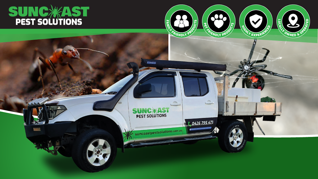 Suncoast Pest Solutions | home goods store | 6 Holmes St, Currimundi QLD 4551, Australia | 0426795471 OR +61 426 795 471