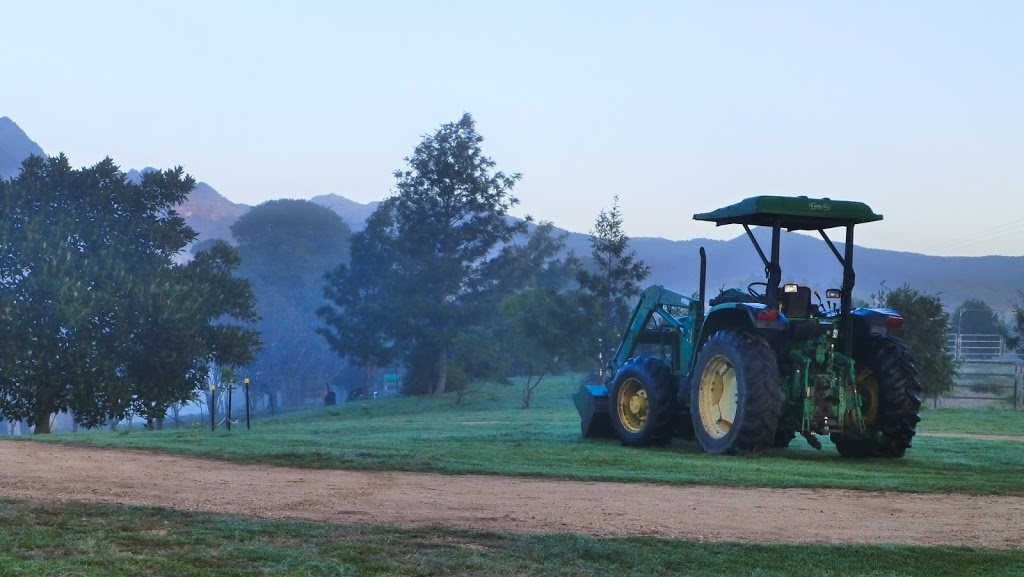 Lillydale Natural Angus Beef | LOT 2 Mount Barney Rd, Barney View QLD 4287, Australia | Phone: (07) 5544 3131