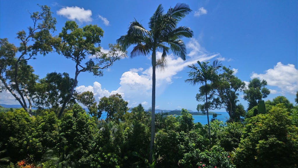 Blue Water Views | lodging | 6 Acacia Dr, Hamilton Island QLD 4803, Australia | 1800135539 OR +61 1800 135 539