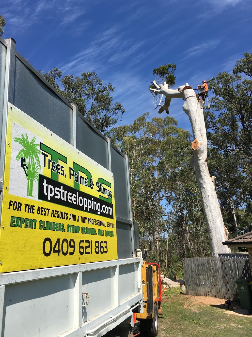 Trees Palms and Stumps | 392 Mount Cotton Rd, Capalaba QLD 4157, Australia | Phone: 0409 621 863