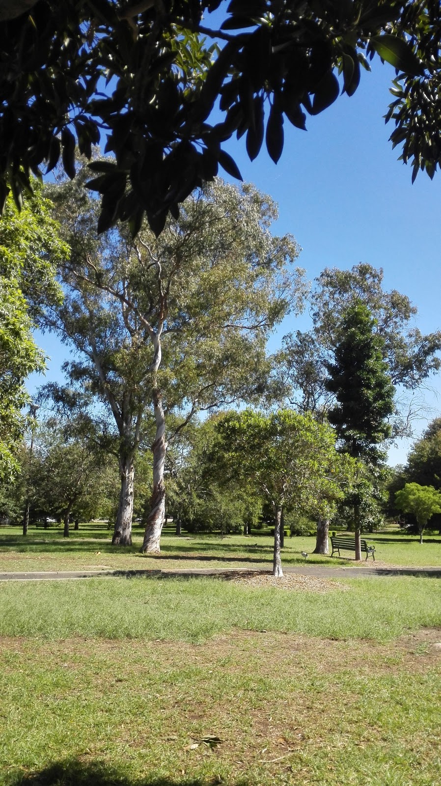 Enmore Park | Between Enmore Road and, Black St, Marrickville NSW 2204, Australia | Phone: (02) 9392 5000