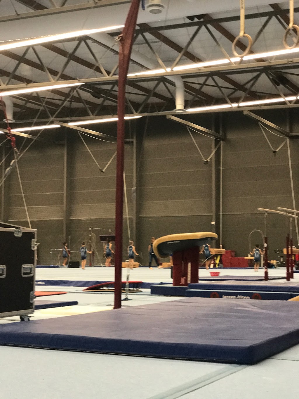 Sydney Gymnastic and Aquatic Centre | 12 N Parade, Rooty Hill NSW 2766, Australia | Phone: (02) 9851 5811
