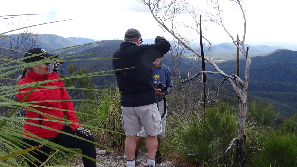 Springbrook Pinnacle | park | Springbrook QLD 4213, Australia