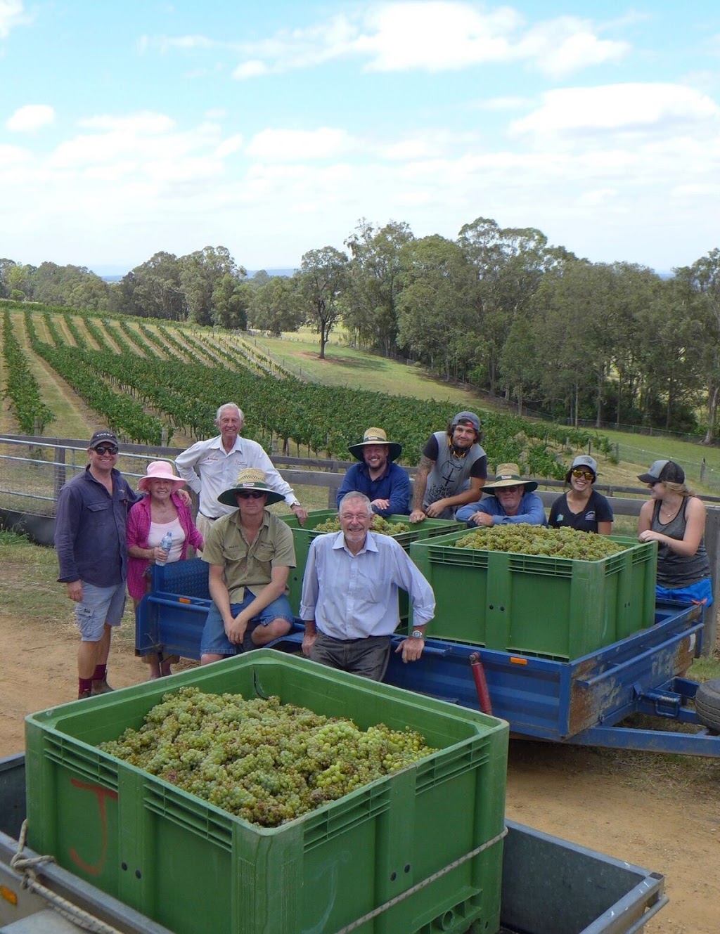 Elbourne Wines | 236 Marrowbone Rd, Pokolbin NSW 2320, Australia | Phone: 0416 190 878