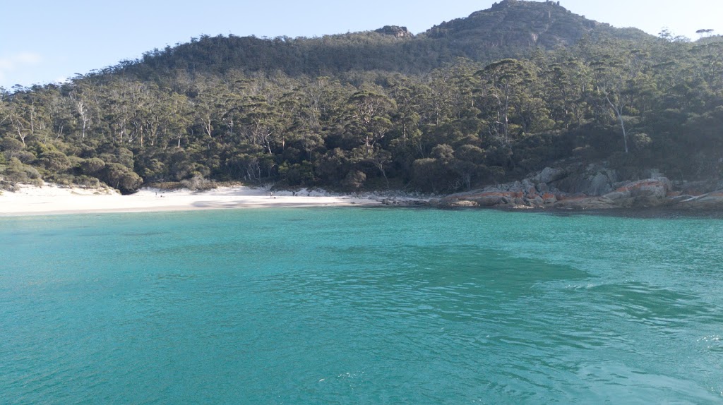 Wineglass Bay Cruises | travel agency | Jetty Rd, Coles Bay TAS 7215, Australia | 0362570355 OR +61 3 6257 0355