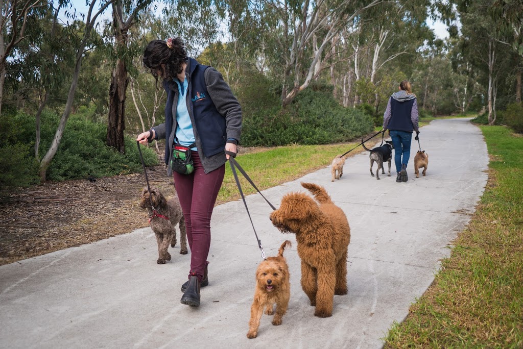 Ka-Pooch! Doggy Daycare | pet store | 221 Grange Rd, Thornbury VIC 3071, Australia | 0394975308 OR +61 3 9497 5308