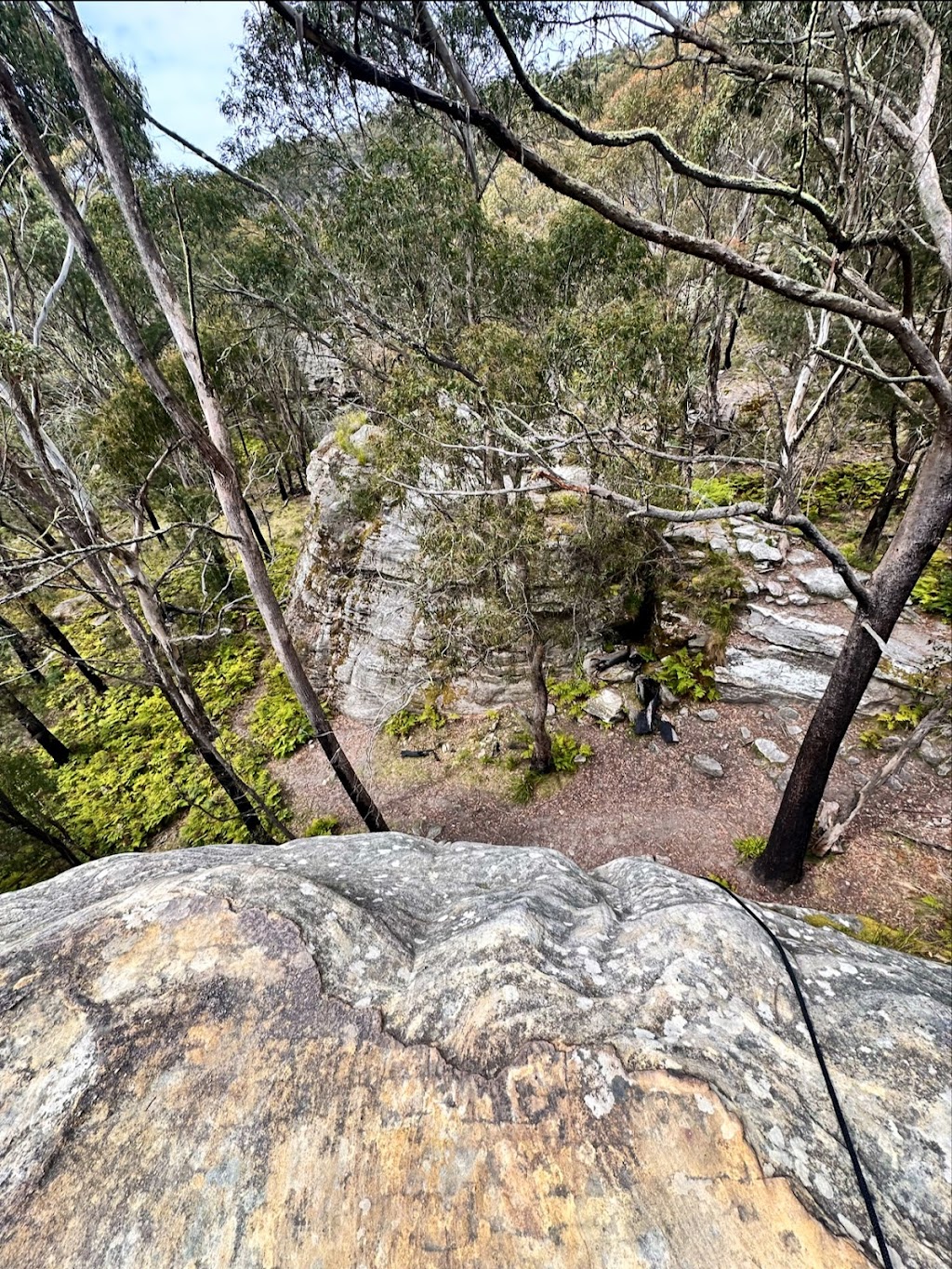 High and Wild | 207 Katoomba St, Katoomba NSW 2780, Australia | Phone: (02) 4782 6224