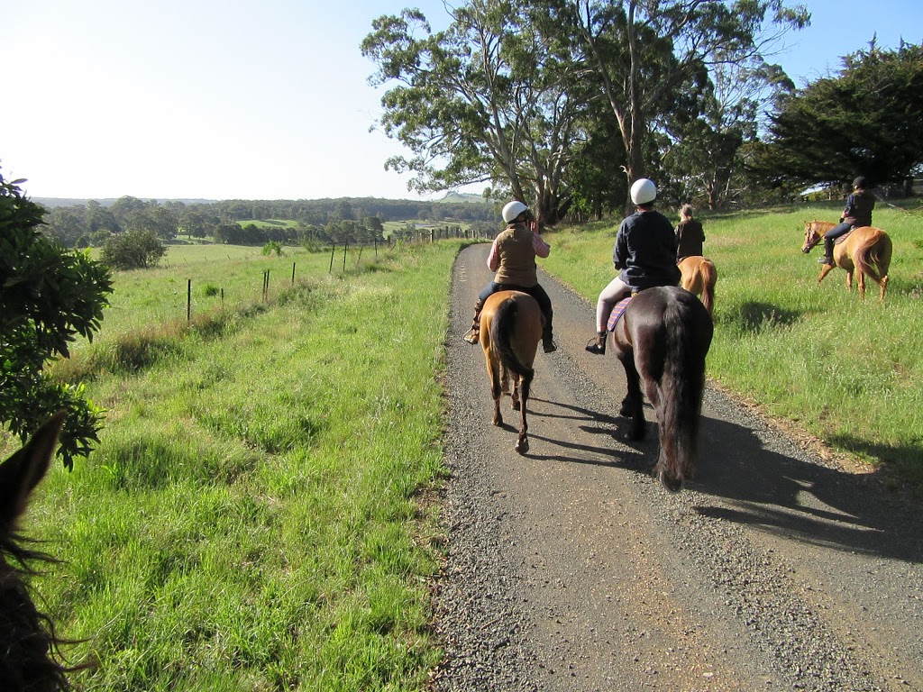 Silver Brumby Trails | 560 Shepherds Hill Rd, Spring Hill VIC 3444, Australia | Phone: 0429 589 611