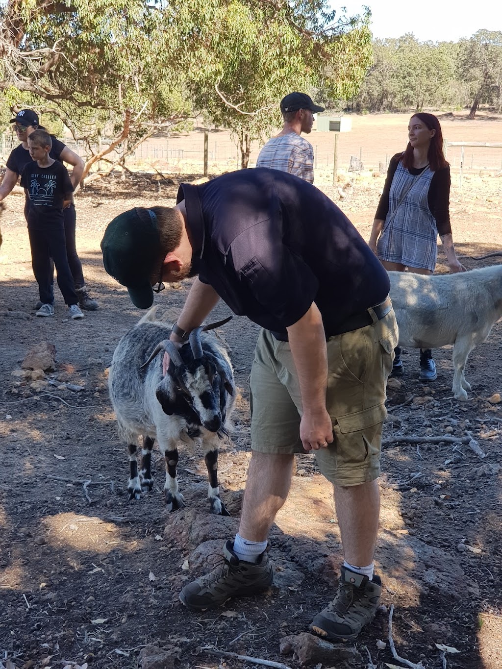 Happy Hooves Farm Sanctuary | 405 Clenton Rd, Gidgegannup WA 6083, Australia | Phone: 0439 976 921