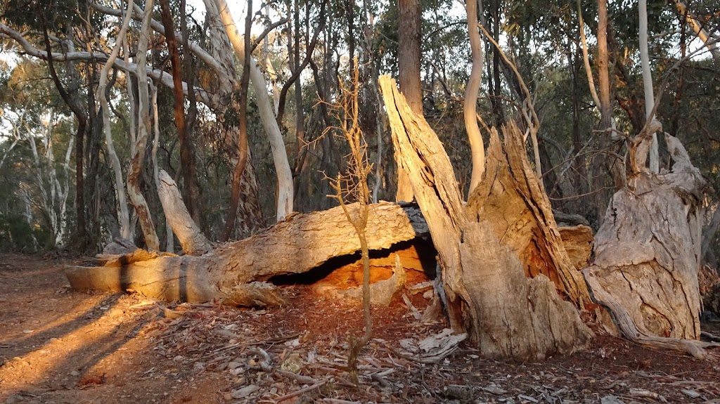 ACT Nudist Club Inc. | Kings Highway, Kowen Forest ACT 2620, Australia | Phone: (02) 6176 1799