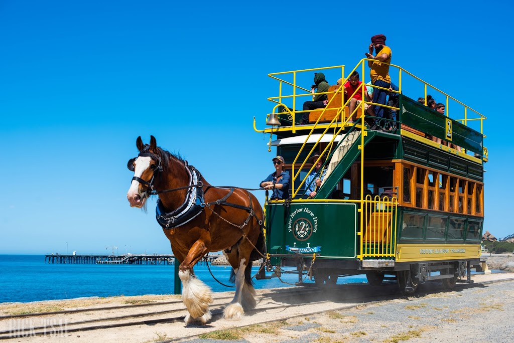 Victor Harbor Horse Drawn Tram | tourist attraction | Esplanade, Victor Harbor SA 5211, Australia | 0885510720 OR +61 8 8551 0720