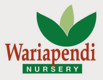 Wariapendi Native Nursery | store | 33-35 Church Ave, Colo Vale NSW 2575, Australia | 0248894327 OR +61 2 4889 4327