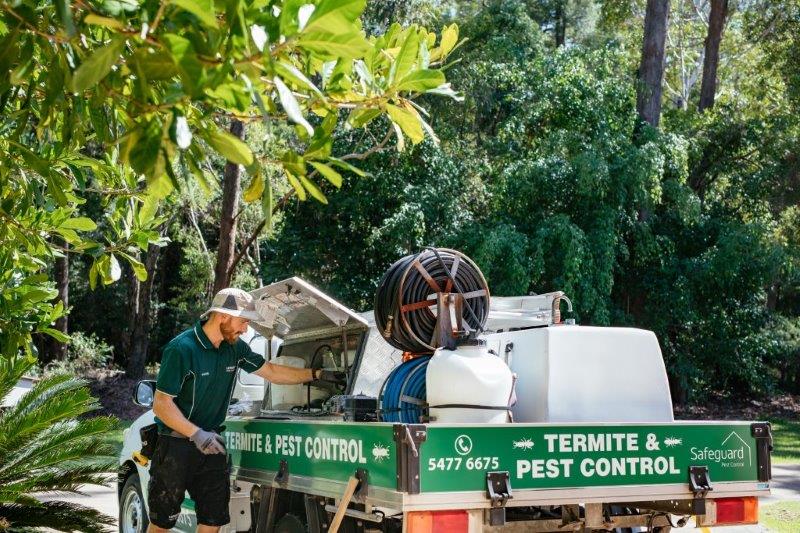 Safeguard Pest Control Sunshine Coast | 1/22 Malkana Cres, Buddina QLD 4575, Australia | Phone: (07) 5477 6675