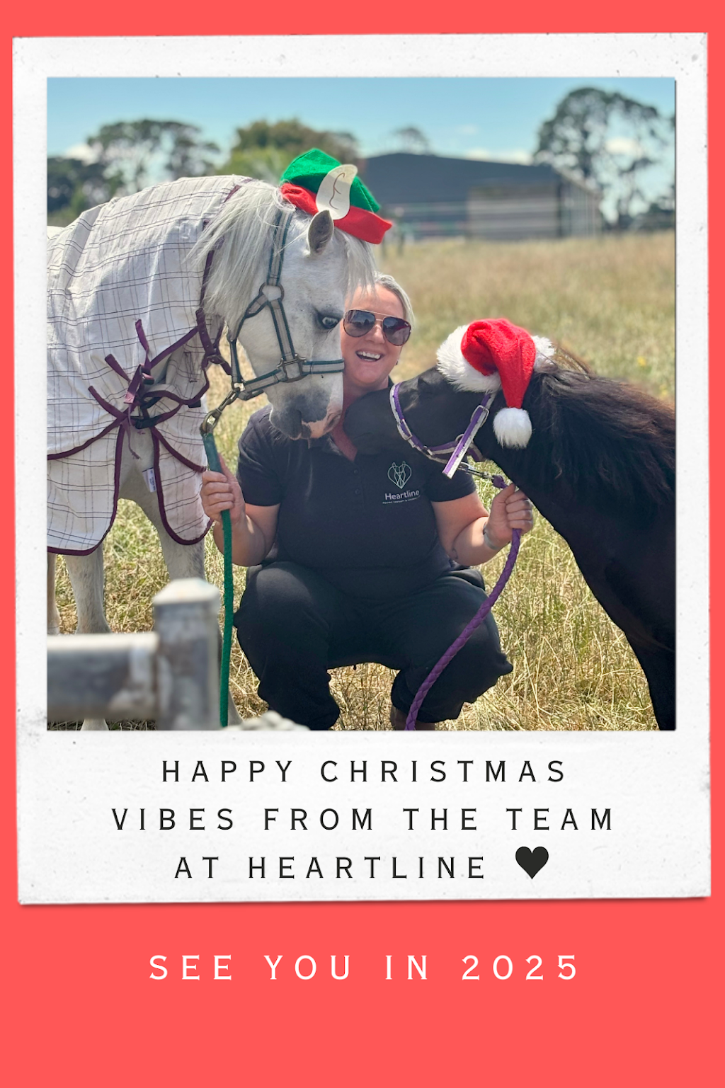 Heartline Equine Therapy and Counselling | 272 Warragul-Lardner Rd, Warragul VIC 3820, Australia | Phone: 0408 984 493