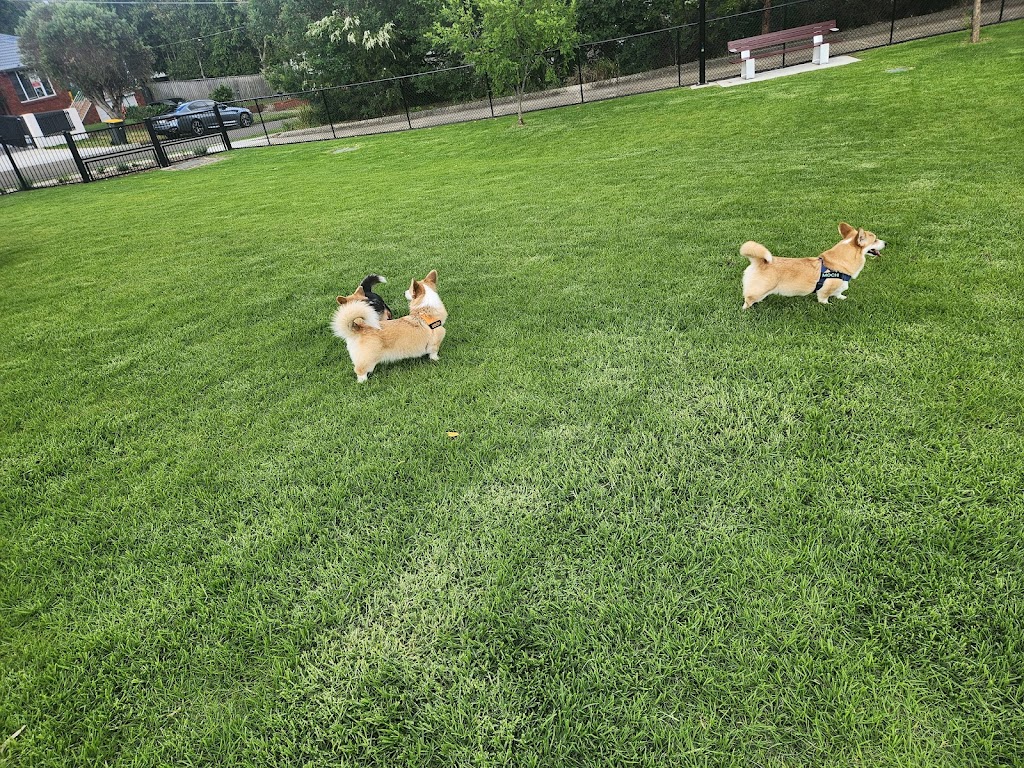 West Epping Park Dog Off-leash Area | 6 Grant Cl, Epping NSW 2121, Australia | Phone: 1300 617 058