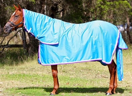 Camelot Horse Rugs | 1063 Castlereagh Rd, Castlereagh NSW 2749, Australia | Phone: (02) 4776 1300