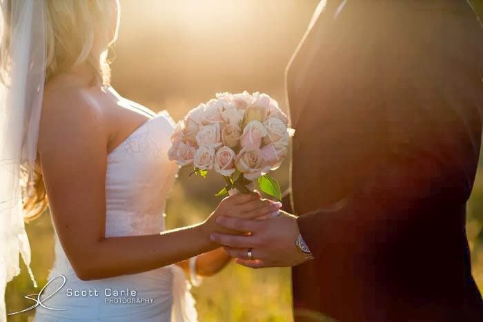 Scott Carle Photography | 90 Victoria St, Coffs Harbour NSW 2450, Australia | Phone: 0418 532 011