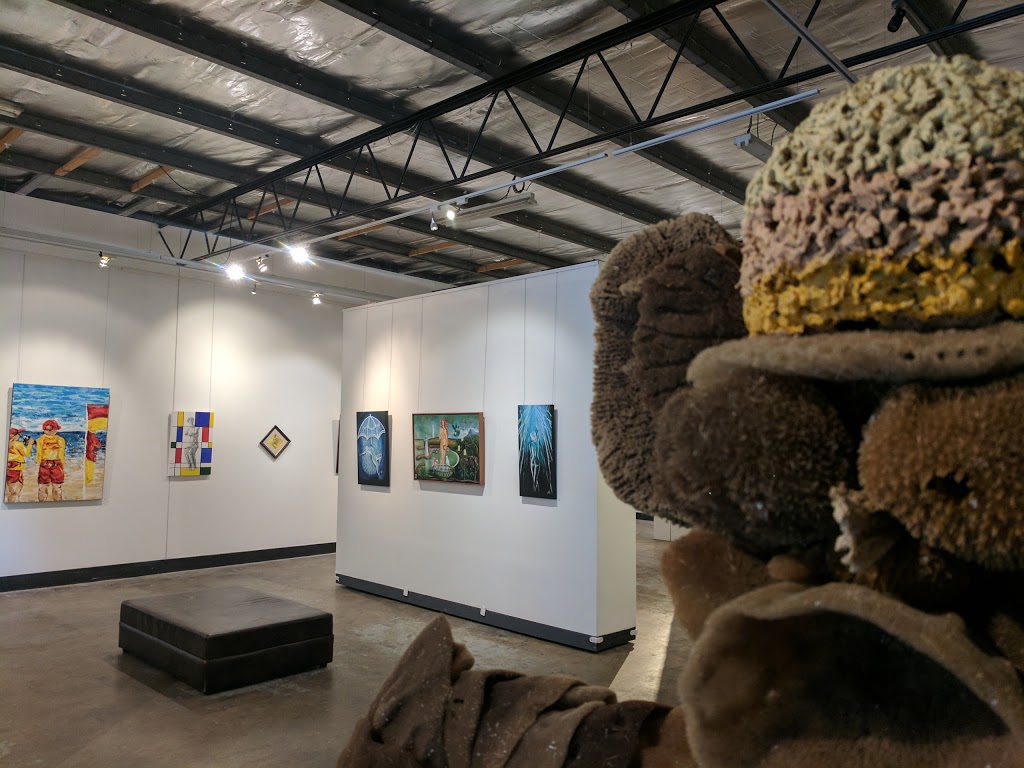 Project Contemporary Artspace | 255 Keira St, Wollongong NSW 2500, Australia | Phone: 0431 542 309