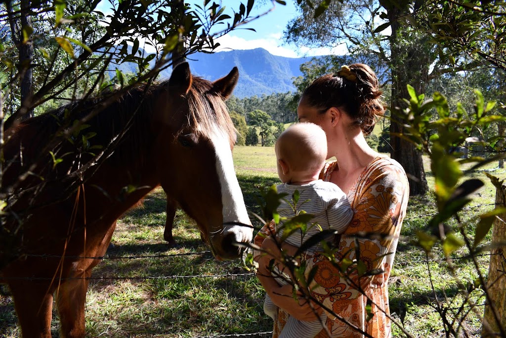 Richmond Valley Equine Assisted Learning | Ainsworth Rd, Mongogarie NSW 2470, Australia | Phone: 0407 842 338