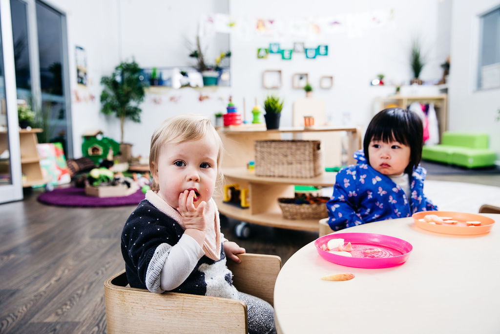 Petit Early Learning Journey Clifton Hill | 372 Hoddle St, Clifton Hill VIC 3068, Australia | Phone: (03) 9046 1924
