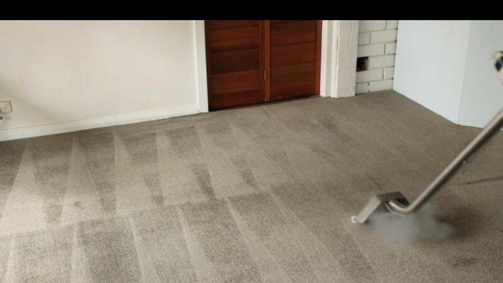 Cheapo Bond $Carpet Cleaning Pest Control Group |  | 1 Mansfield Rd, Elimbah QLD 4516, Australia | 0434404140 OR +61 434 404 140