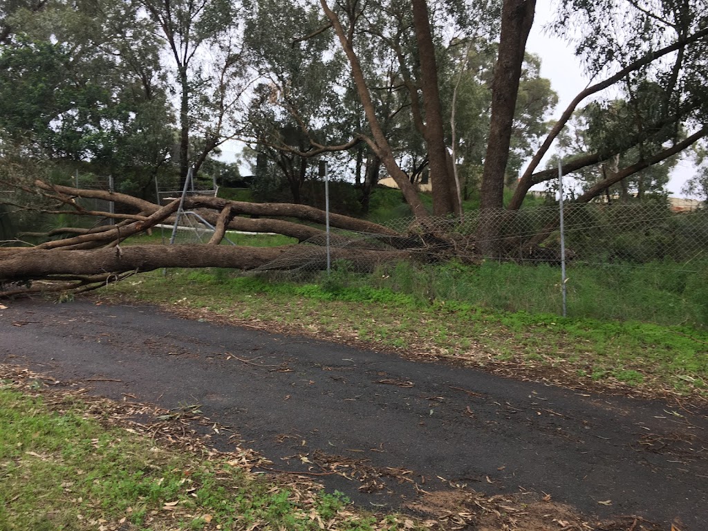 Arbor North Tree Services | 2024 Wanneroo Rd, Neerabup WA 6031, Australia | Phone: 0412 505 723