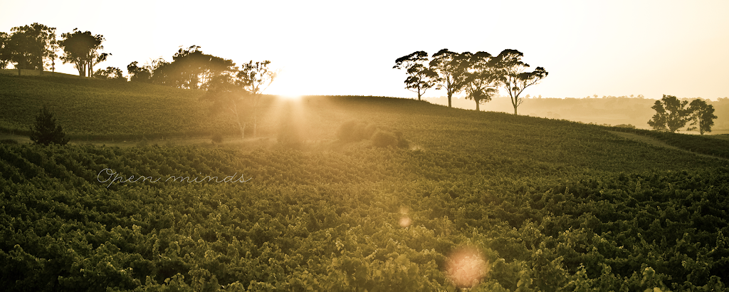 Adelaide Hills Wine Region | 93 Jones Rd, Balhannah SA 5242, Australia | Phone: 1300 305 577