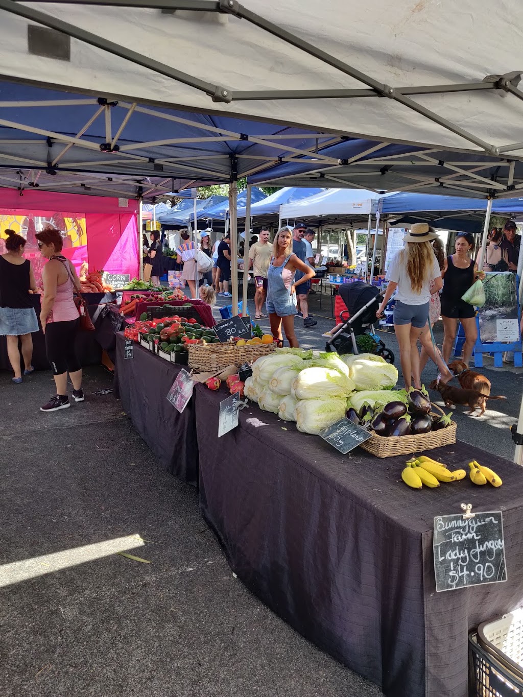 Burleigh Market |  | Burleigh Heads State School Cnr West Burleigh Rd &, Lower Gold Coast Hwy, Burleigh Heads QLD 4220, Australia | 0417728844 OR +61 417 728 844