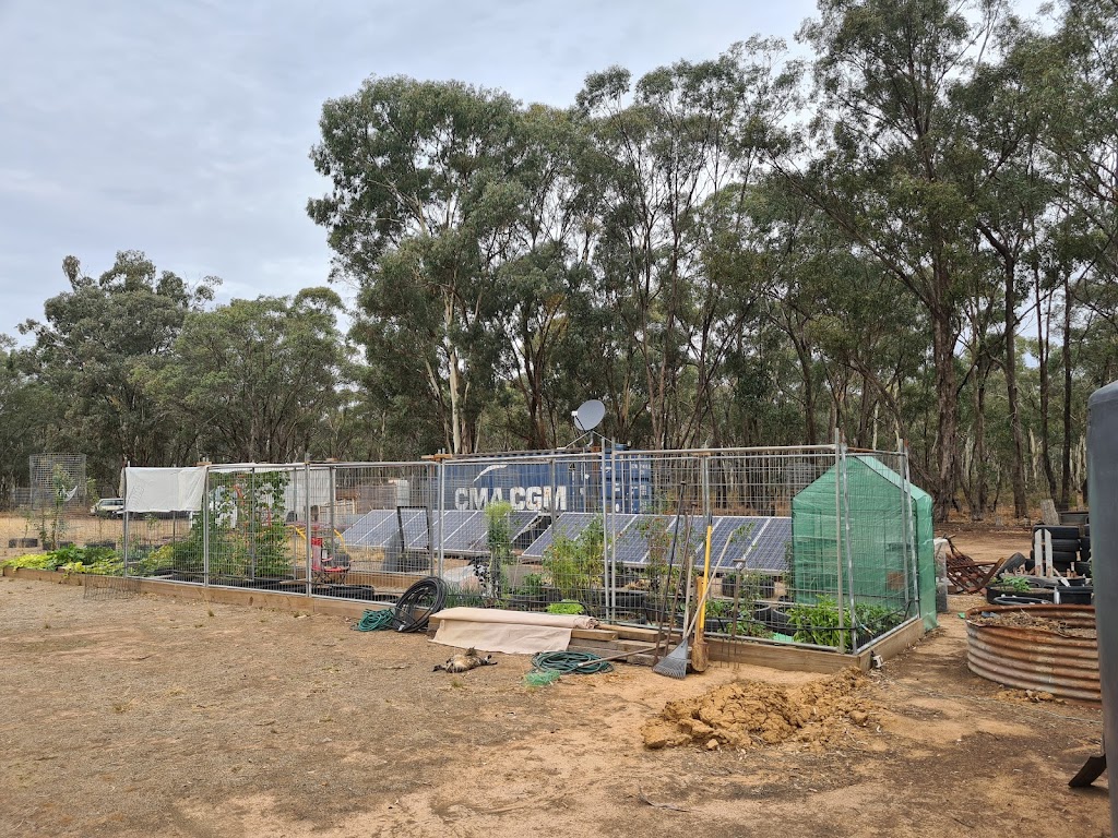 Trevs Farm | 205 Mount View Rd, Goldsborough VIC 3472, Australia | Phone: 0418 566 295